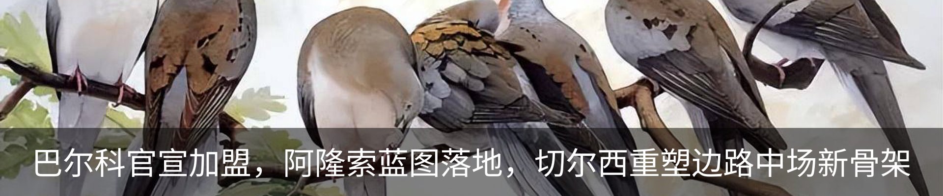 资讯中心